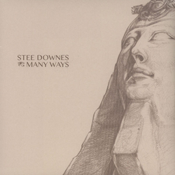 Stee Downes Many Ways Vinyl 12" USED