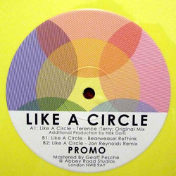 Terry Like A Circle Vinyl 12" USED