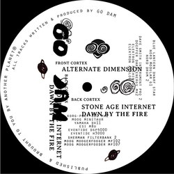 Go Dam Alternate Dimensions Vinyl 12" USED