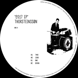 Thorsteinssøn 2017 EP Vinyl 12" USED
