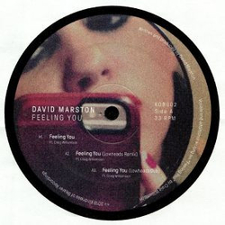 David Marston Feeling You Vinyl 12" USED