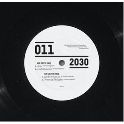 2030 Prescience EP Vinyl 12" USED