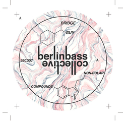 Bridge Guy Non-Polar Compounds EP Vinyl 12" USED