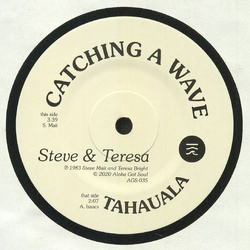 Steve & Teresa Catching A Wave Vinyl 7" USED
