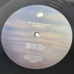 Various You Will Not Forbid EP Vinyl 12" USED