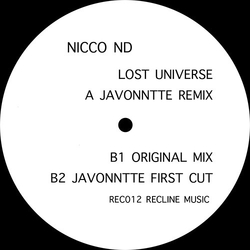 Nicco (2) Lost Universe Vinyl 12" USED
