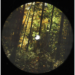 Jared Wilson New Era Vinyl 12" USED