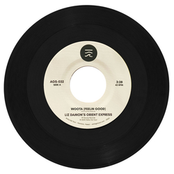 Liz Damon's Orient Express Woota (Feelin Good) Vinyl 7" USED