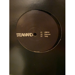 DJ Steaw Lifetime Vinyl 12" USED