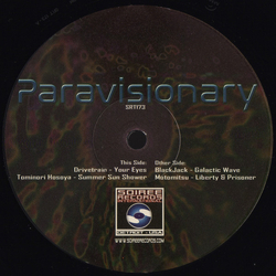 Various Paravisionary Vinyl 12" USED
