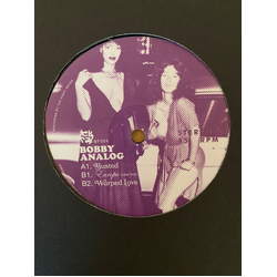 Bobby Analog (2) Busted Vinyl 12" USED