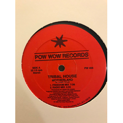 Tribal House Motherland Vinyl 12" USED