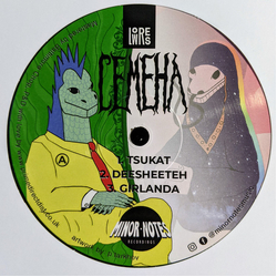 Lowres (2) Semena Vinyl 12" USED