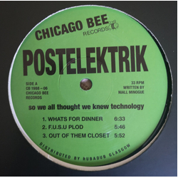 Postelektrik So We All Thought We Knew Technology Vinyl 12" USED