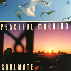 Soulmate (7) Peaceful Morning Vinyl 7" USED