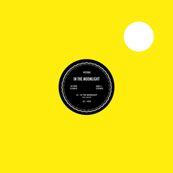 Hysteric In The Moonlight Vinyl 12" USED