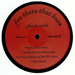 Jaime Read The End Of Vinyl 12" USED