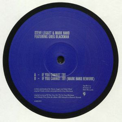 Steve Legget / Mark Hand / Greg Blackman If You Cannot Try Vinyl 12" USED