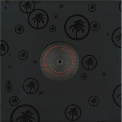 Black Hawks Of Panama / Bisi Nobody But You Vinyl 12" USED