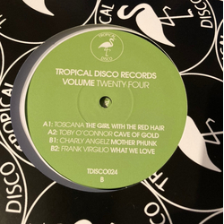 Various Tropical Disco Records Volume Twenty Four Vinyl 12" USED