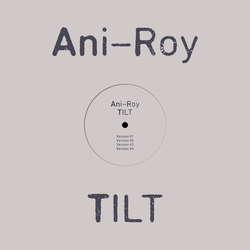 Ani-Roy Tilt Vinyl 12" USED