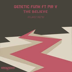 Genetic Funk / Mr. V (4) The Believe (Atjazz Remix) Vinyl 12" USED