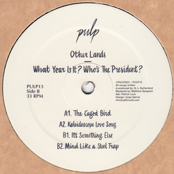 Other Lands What Year Is It? Who's The President? Vinyl 12" USED
