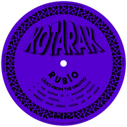 djrubio Licks From The Grotto Vinyl 12" USED