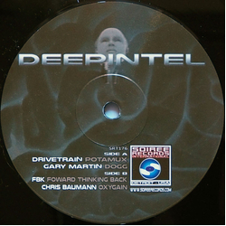 Various DeepIntel EP Vinyl 12" USED