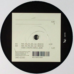 Markus Enochson For You To See Vinyl 12" USED