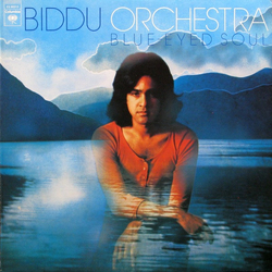 Biddu Orchestra Blue-Eyed Soul Vinyl LP USED