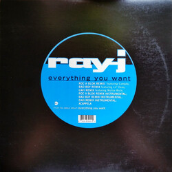 Ray J Everything You Want USED VINYL 12INCH 33 S RPM SINGLE