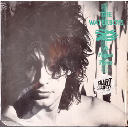 The Waterboys A Pagan Place Vinyl LP USED