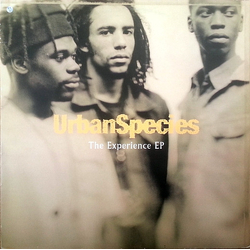 Urban Species The Experience EP Vinyl 12" USED