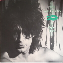 The Waterboys A Pagan Place Vinyl LP USED