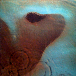 Pink Floyd Meddle Vinyl LP USED