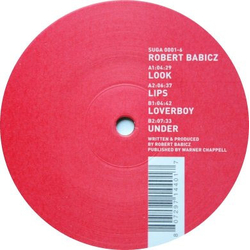 Robert Babicz Look Vinyl 12" USED