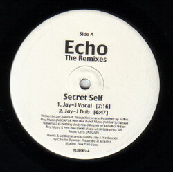 Echo (3) The Remixes Vinyl 12" USED