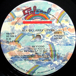 Skyy Skyyzoo USED VINYL 12INCH 33 S RPM SINGLE STEREO