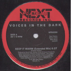 Voices In The Dark Keep It Warm VINYL 12" USED