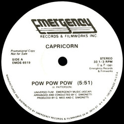 Capricorn (3) Pow Pow Pow / Maybe No USED VINYL 12INCH 33 S RPM PROMO