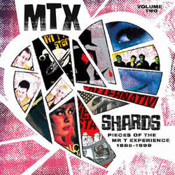 The Mr. T Experience Shards Vol. 2 Vinyl LP USED