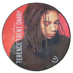 Terence Trent D'Arby Sign Your Name USED VINYL 12INCH PICTURE DISC