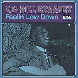 Big Bill Broonzy Feelin' Low Down Vinyl LP USED