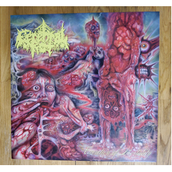 Cerebral Rot Excretion Of Mortality Vinyl LP USED