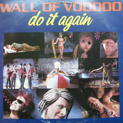 Wall Of Voodoo Do It Again Vinyl 12" USED