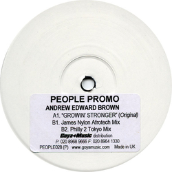 Andrew Edward Brown / Ronyx Growin' Stronger Vinyl 12" USED
