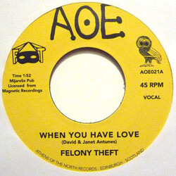 Felony Theft When You Have Love / Run For Cover USED VINYL 7INCH 45 RPM