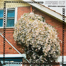 Surprise Chef Daylight Savings Vinyl LP USED