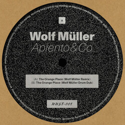 Apiento & Co. The Orange Place (Wolf Müller Remixes) USED VINYL 12INCH